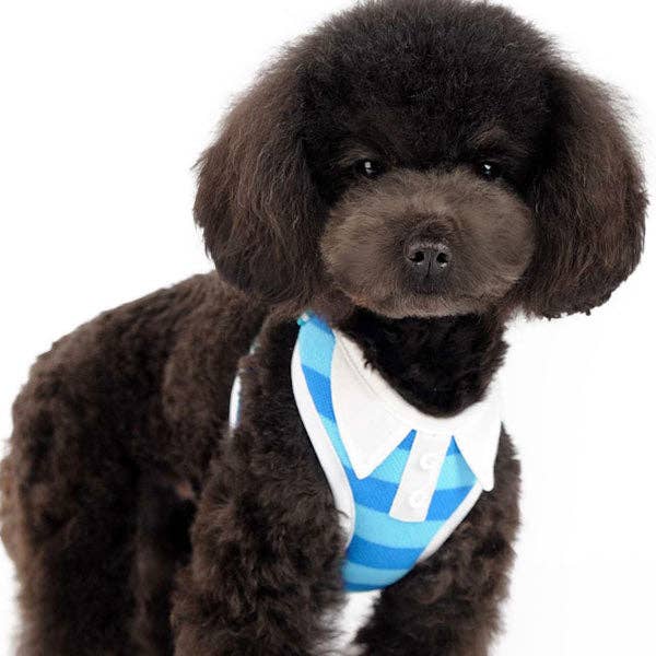 Dogo Pet - Wholesale Pet Harness - Dog - EasyGO Polo10