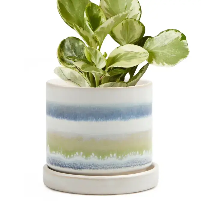 Chive UK - Wholesale Plant Pot - Minute - Glazed Modern Ceramic Pot with Saucer20