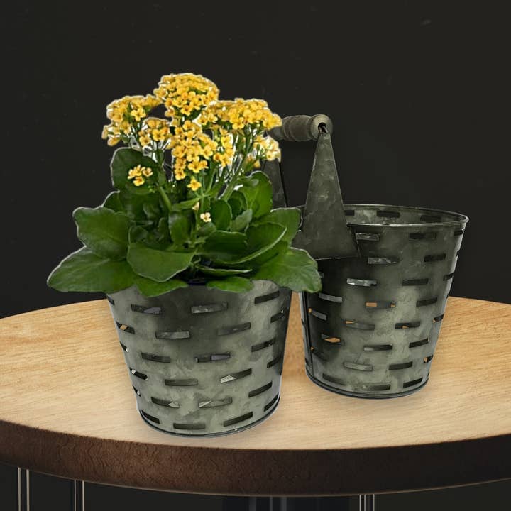 Maceta doble con cubo de oliva para venta al por mayor de Wilco Home