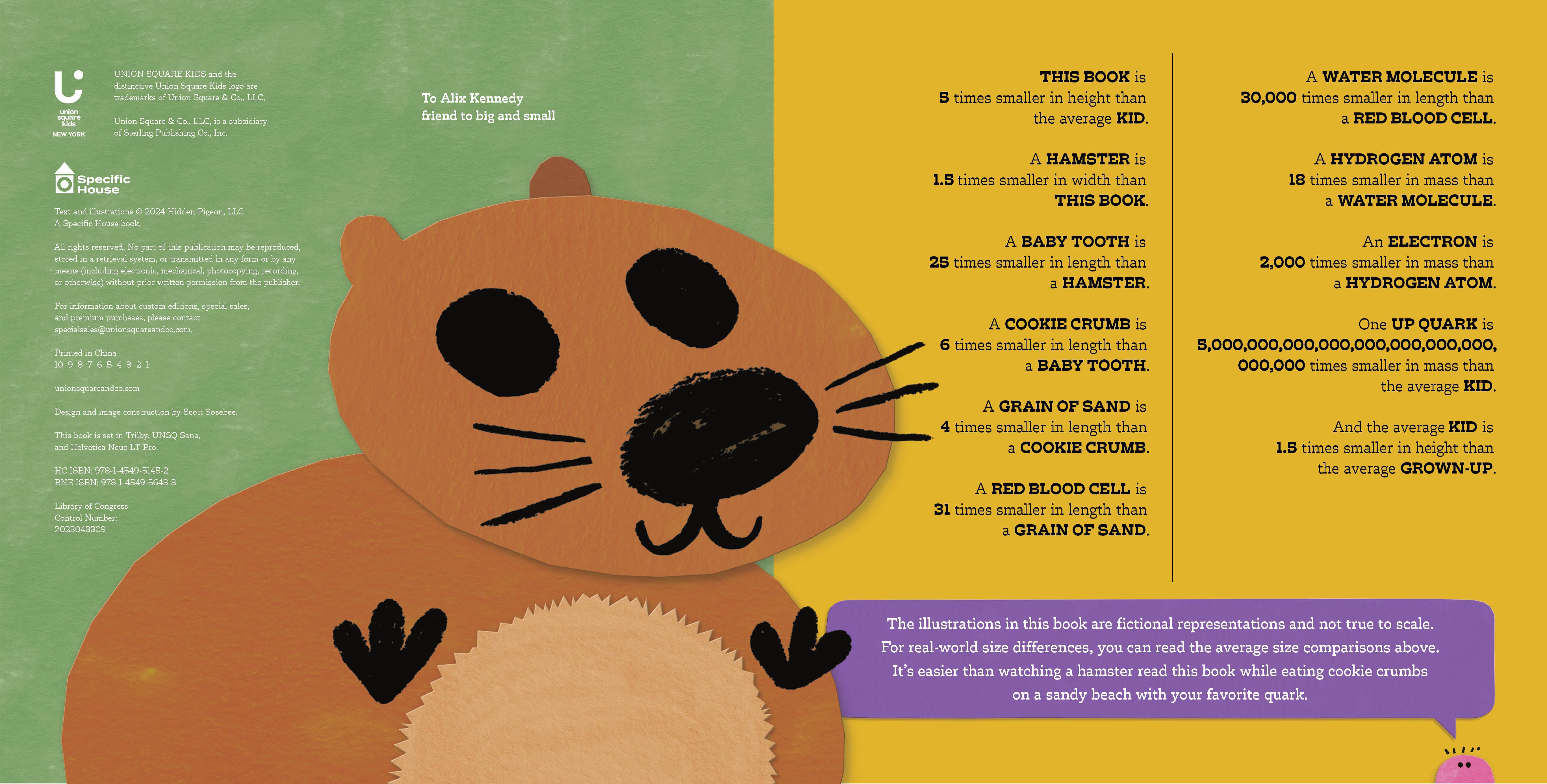 Hachette Book Group - Wholesale Preschool Book (3-5) - Are You Small? by Mo Willems3