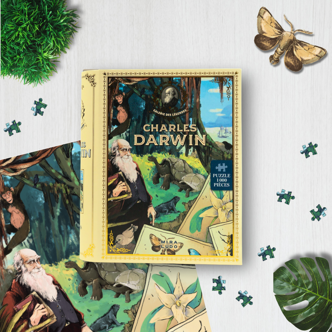 MIRALUDO - Wholesale Puzzle - Adult - Puzzle 1000 pieces - The Gallery of Legends - Book Format1