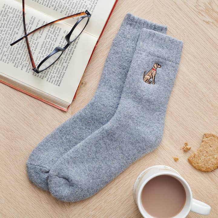 Sweet William Designs - Wholesale Socks - Unisex - Dog Walking Socks - Vizsla