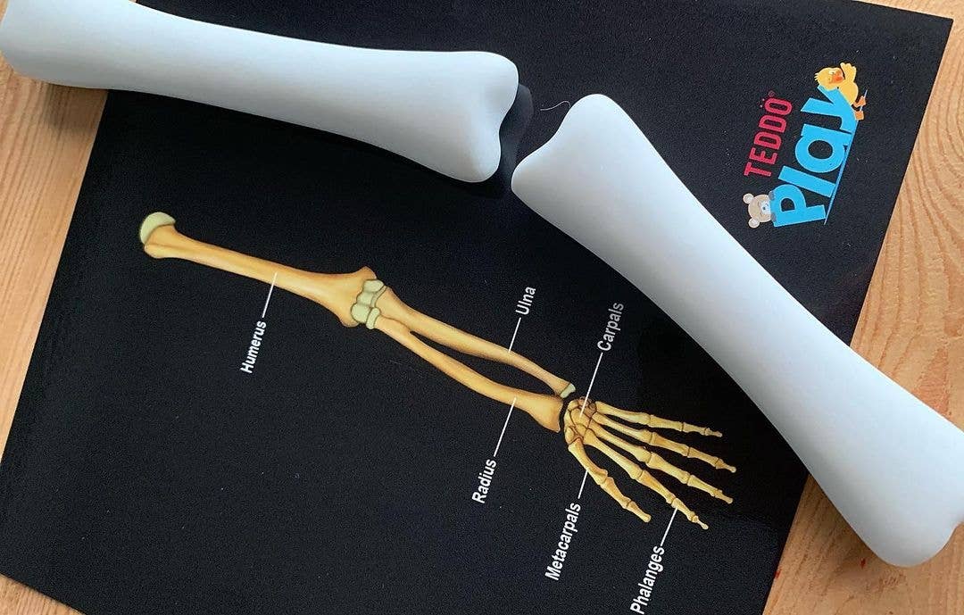 Teddo Play – Großhandel Lernkarten – Kind & Baby – Schließen Sie die pädagogischen Geschenke der menschlichen Anatomie+Werbegeschenke ab10