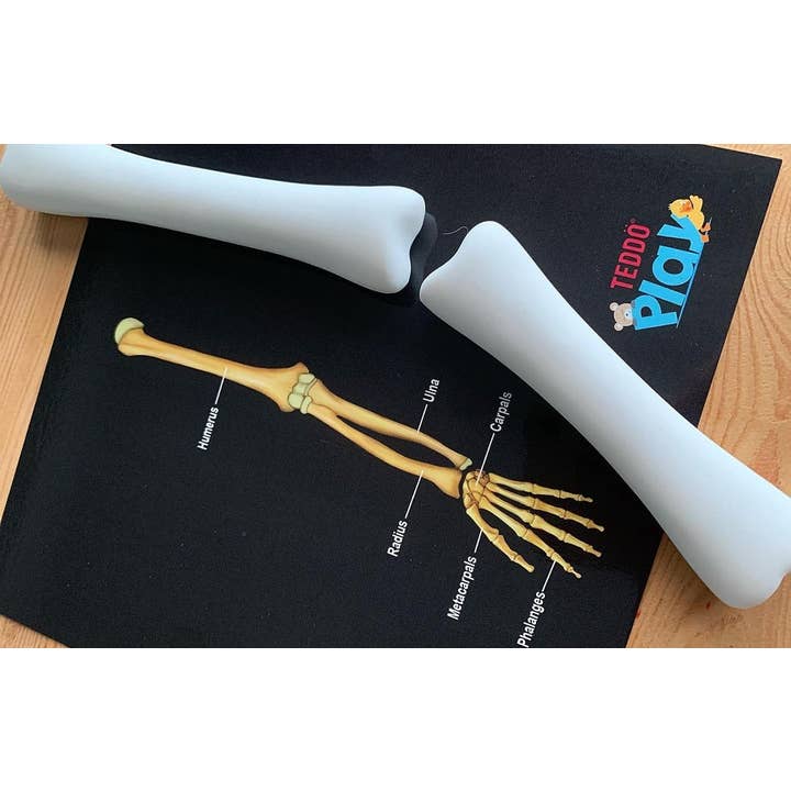 Teddo Play – Großhandel Lernkarten – Kind & Baby – Schließen Sie die pädagogischen Geschenke der menschlichen Anatomie+Werbegeschenke ab10