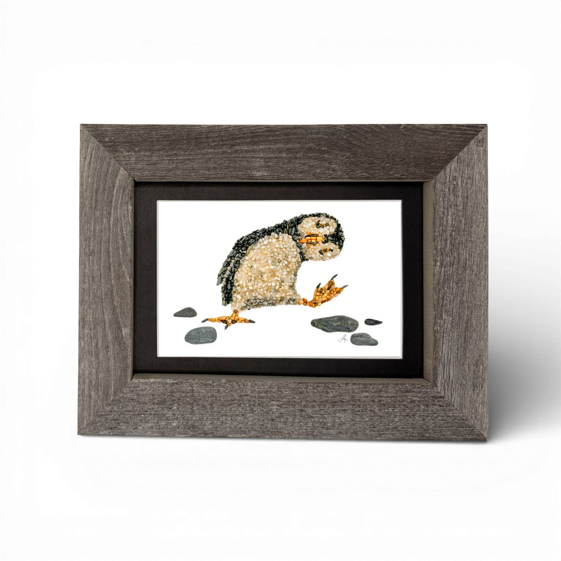 Black Puffin Bird 5x7 Print – Maine Made Repurposed Wood Frame for wholesale on Faire