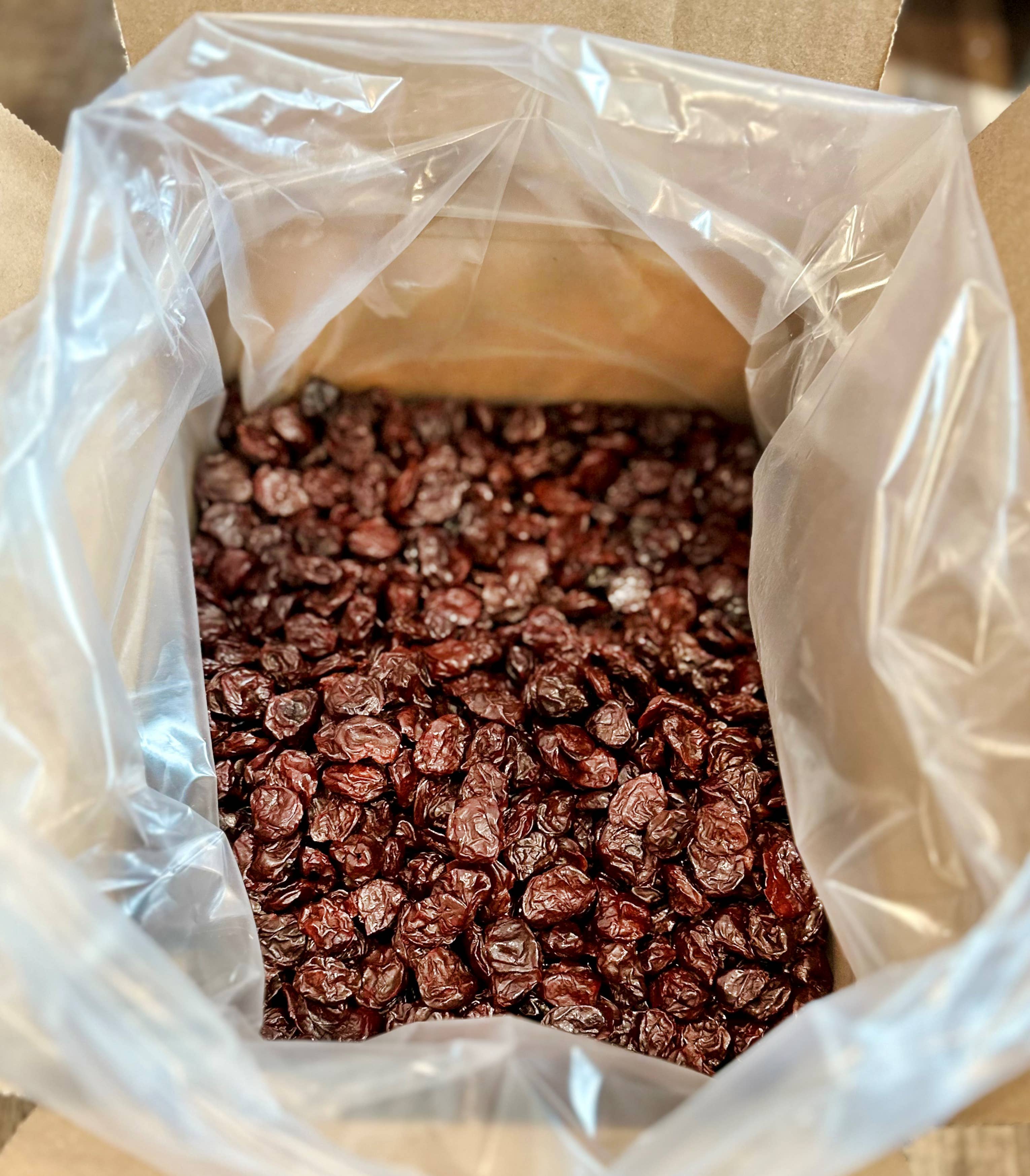 Cherryland's Best - Wholesale Dried/Dehydrated Fruit - Whole Dried Tart Montmorency Cherries BULK 10#