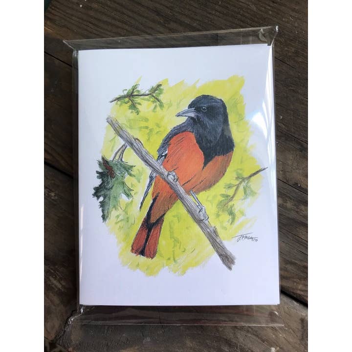 Baltimore Oriole Notecard Set for wholesale by Jack Hobe Nature Art