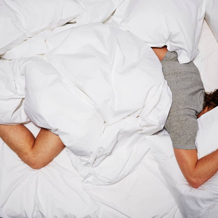 Snowe Home - Wholesale Down Comforter - Down Comforter8