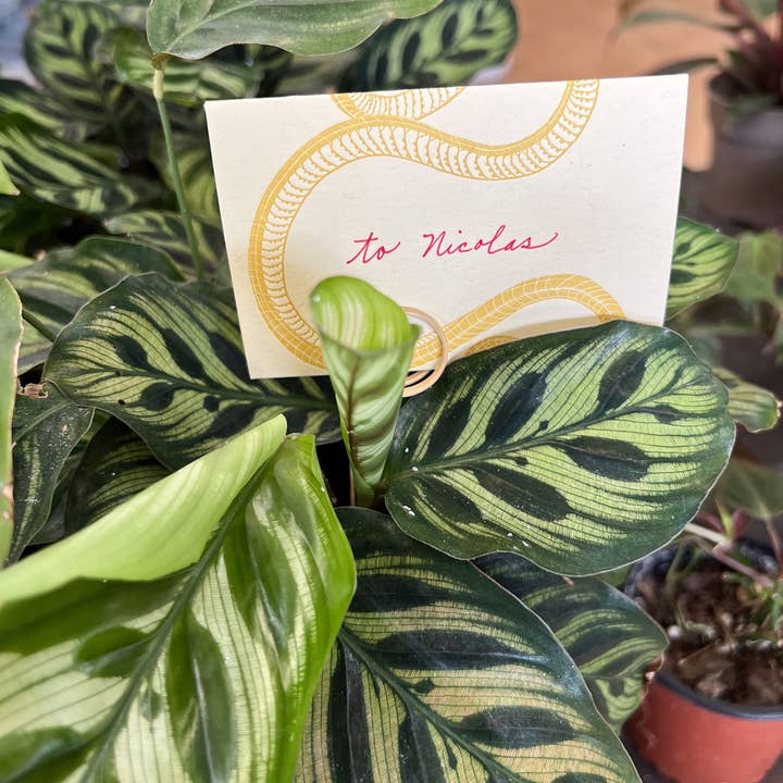 Blackbird Letterpress - Wholesale Everyday Greeting Card - snake yellow gold mini card5