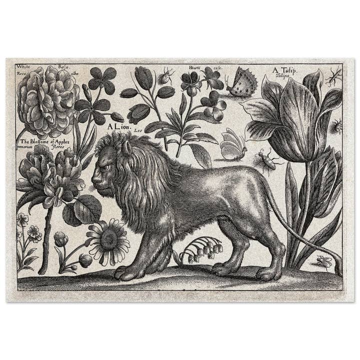 Löwe Leo für den Großhandel von Maison de Paloma