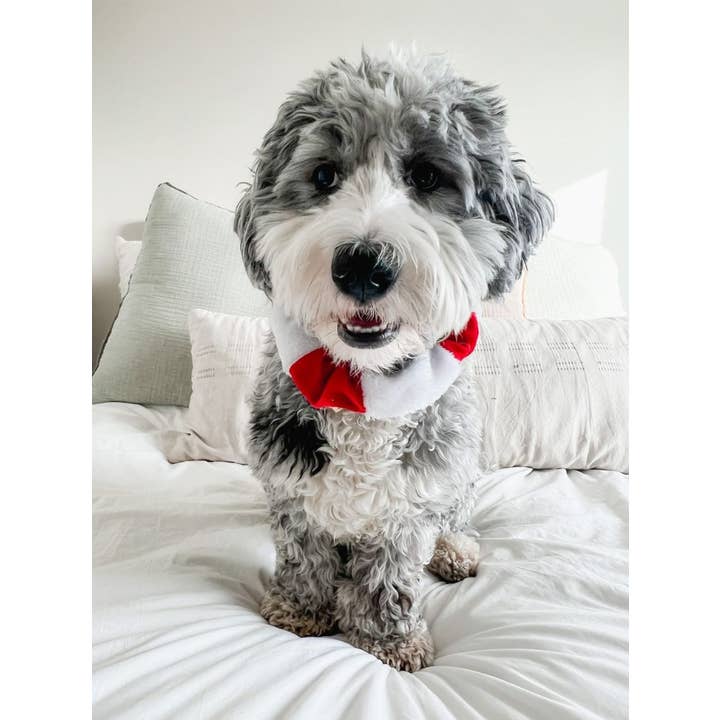 Midlee Designs - Wholesale Pet Collar - Cat/Dog - Midlee White/Red Christmas Plush Bell Collar3