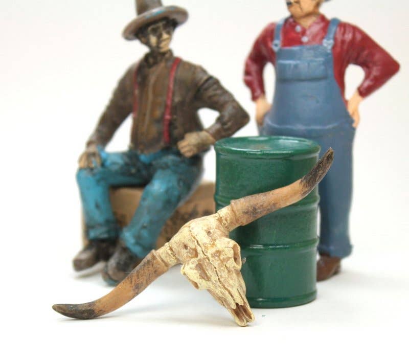 Old West Dry Cattle Skull - #118-1008 for wholesale on Faire6