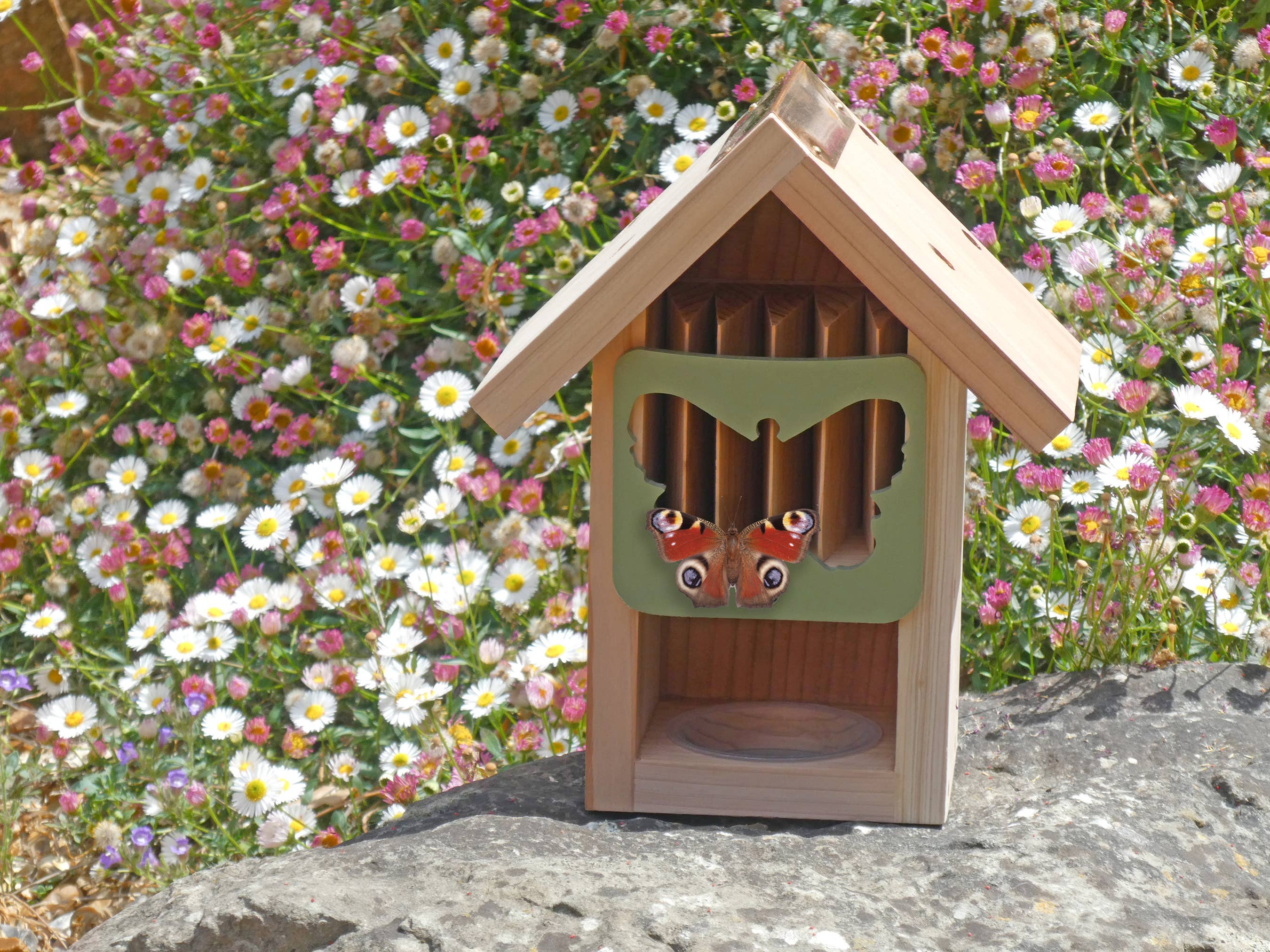 Wildlife World Ltd - Wholesale Bird House - Butterfly Barn2