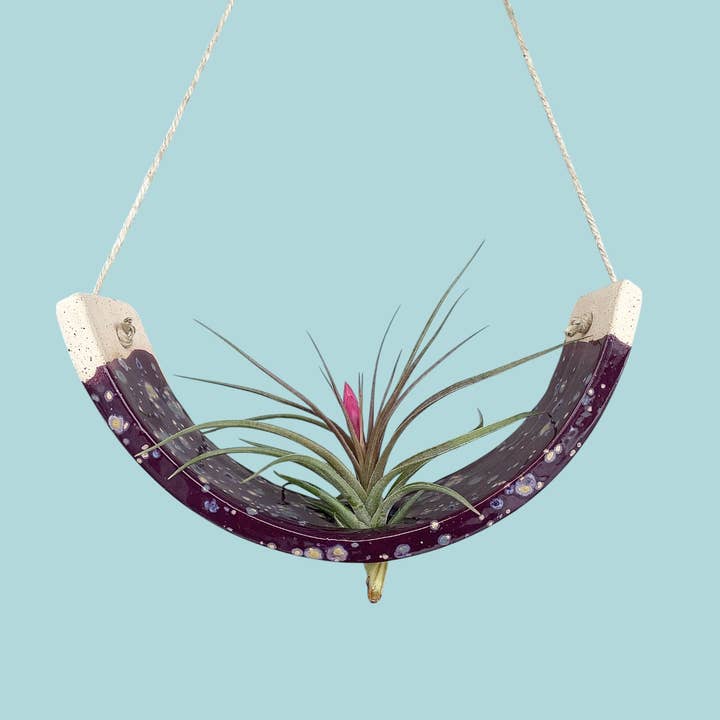 Hangende luchtplanthouder Paarse passiebloem plantenvaas voor wholesale door Mudpuppy Ceramic Studio