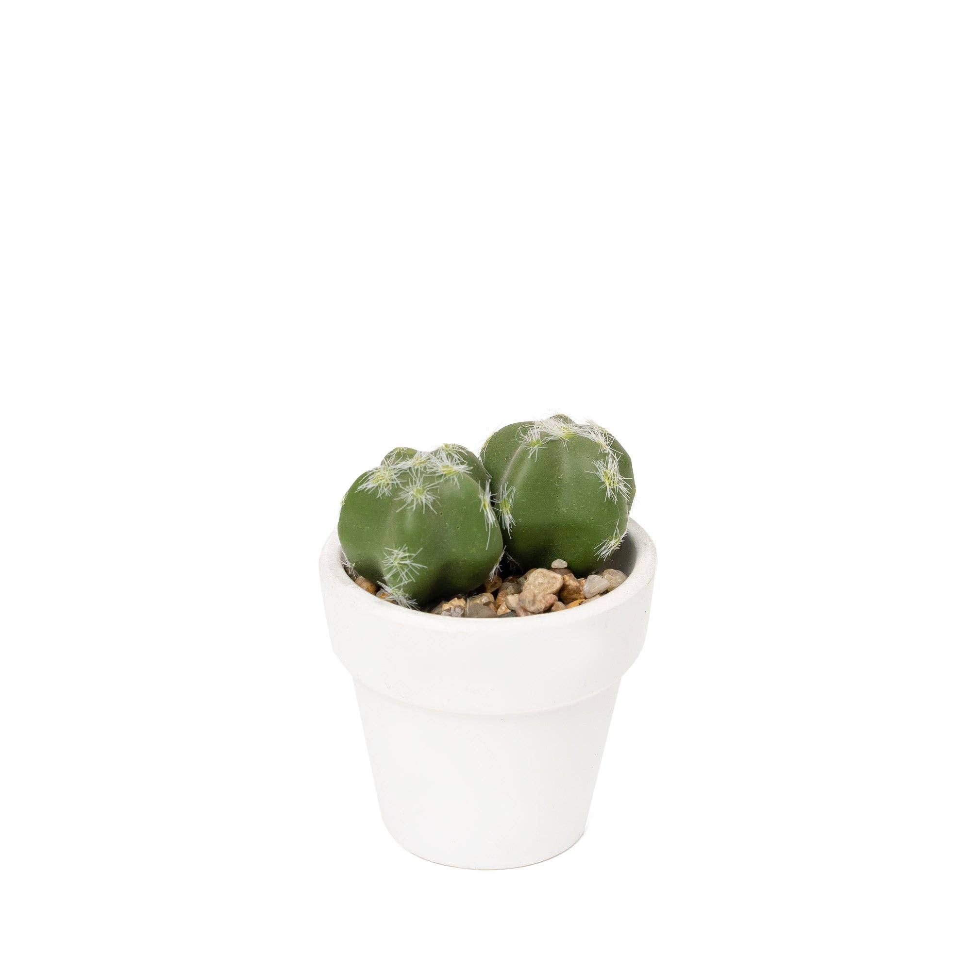 Portofino International Trading, USA - Wholesale Artificial Plant - Artificial Assorted Potted Cactus - Set of 126