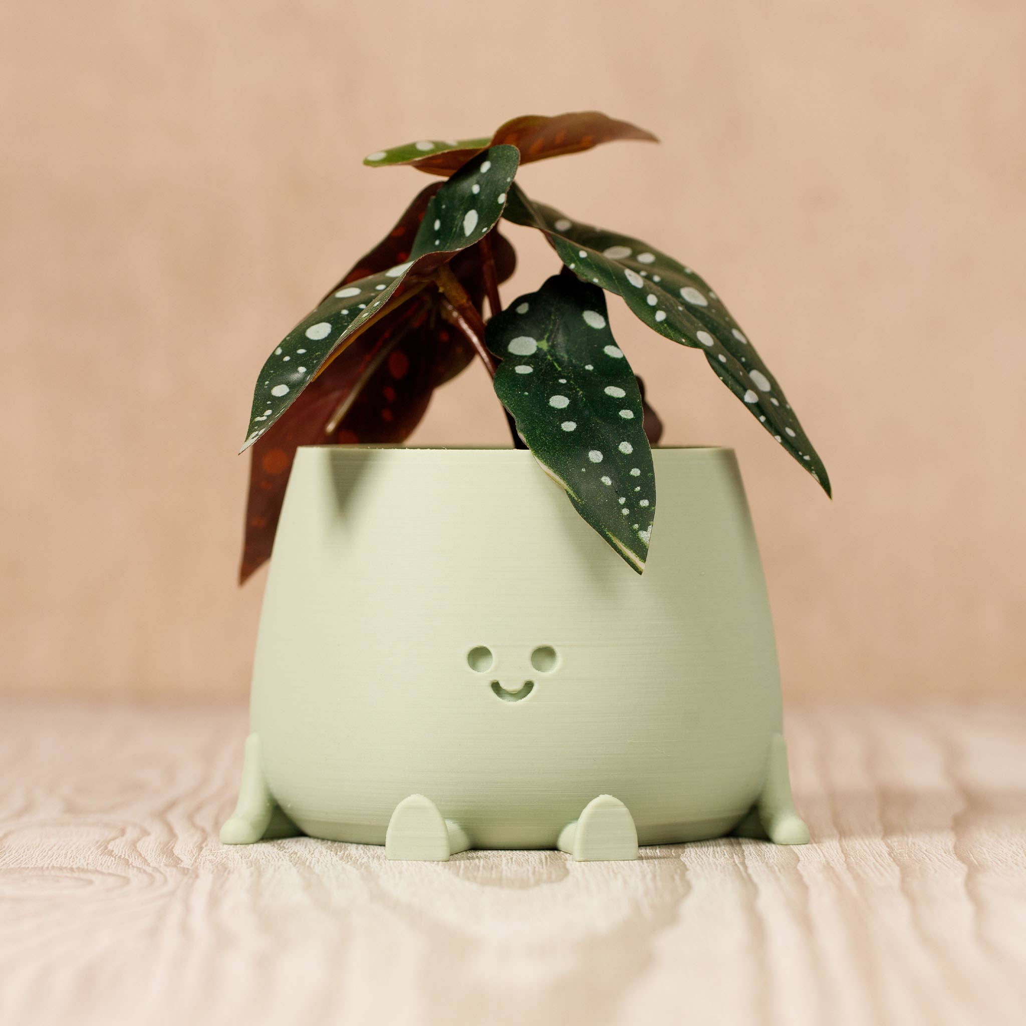 Ingadi – Großhandel Blumentopf – Happy Pot Blumentopf - Salbei1