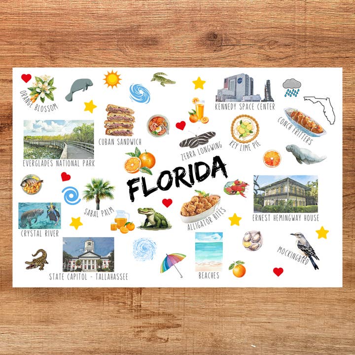 Florida State Collage Postcard for wholesale by The Writerie