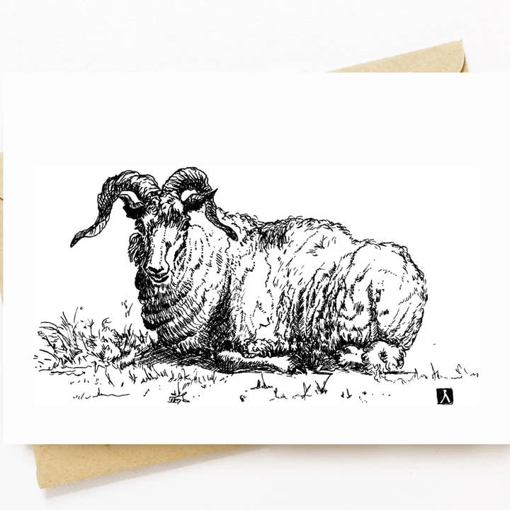 5x7 Inch Card With A Pen & Ink Drawing Of A Laying Ram for wholesale by Bellavance Ink