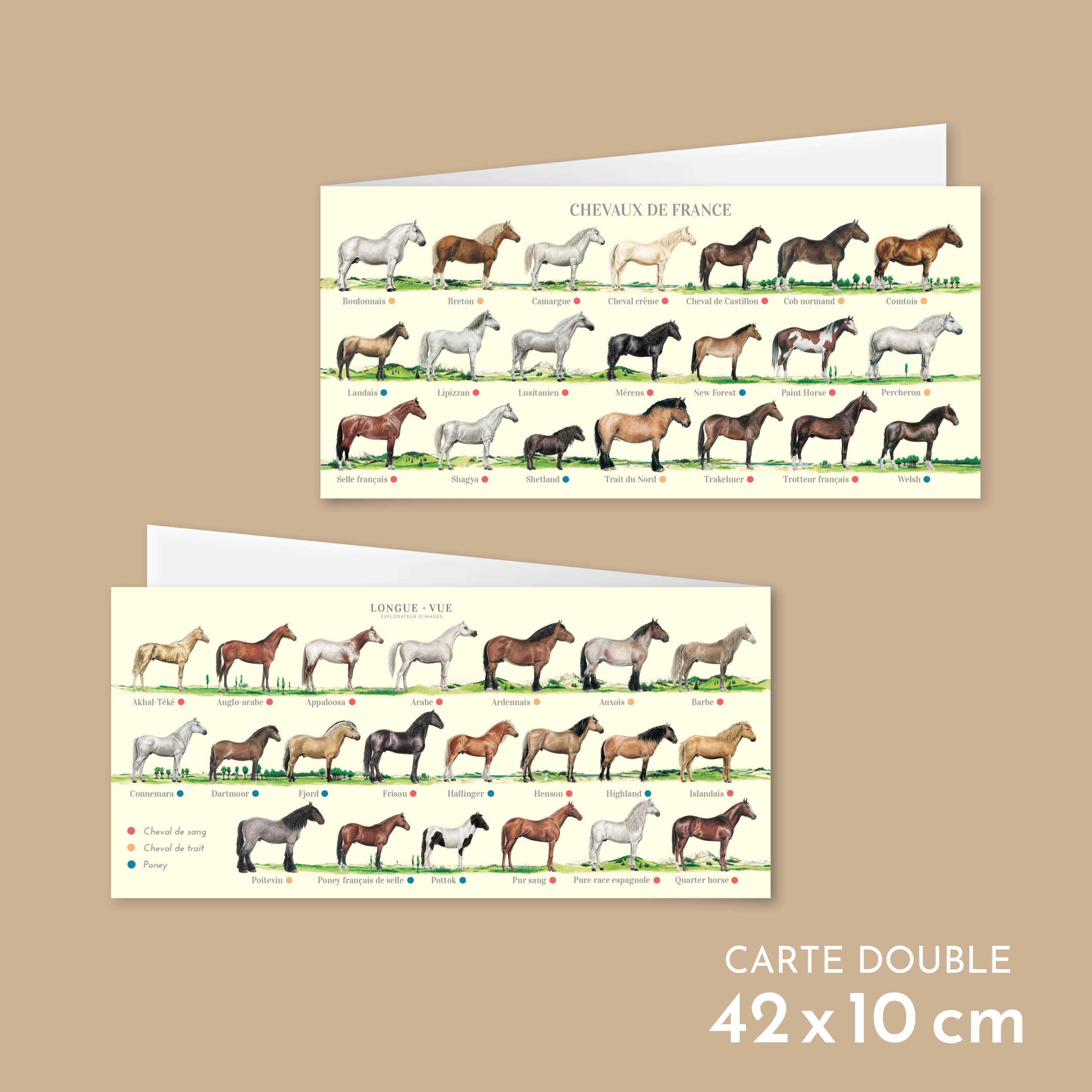 Longue-vue - Venta al por mayor Tarjeta postal - Caballos franceses - Carta doble0