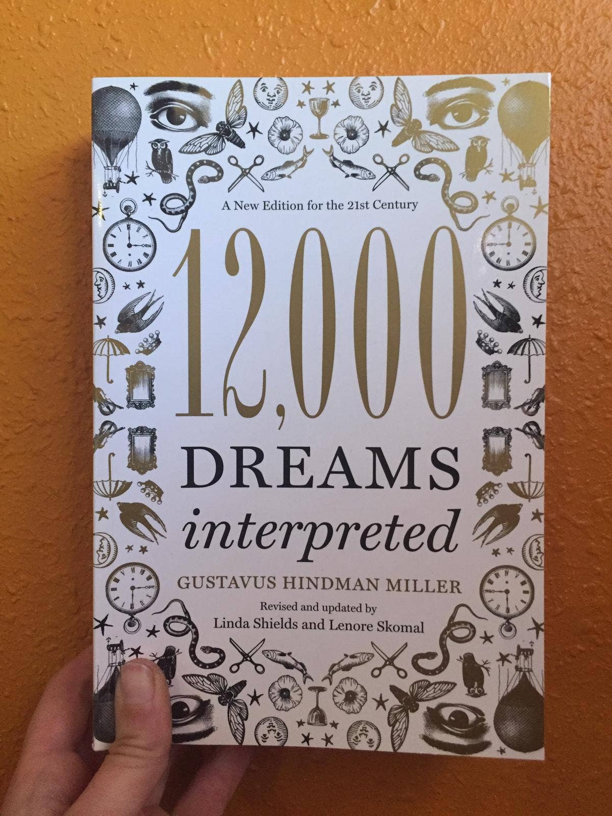Microcosm Publishing & Distribution - Wholesale Self-Help & Personal Development Book - 12,000 Dreams Interpreted4