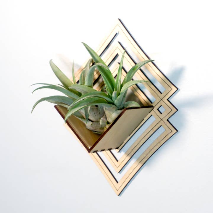 Luftväxthållare/vägghängande kruka 6 - monterad hängare för wholesale av LIGHT RAZOR DESIGN STUDIO