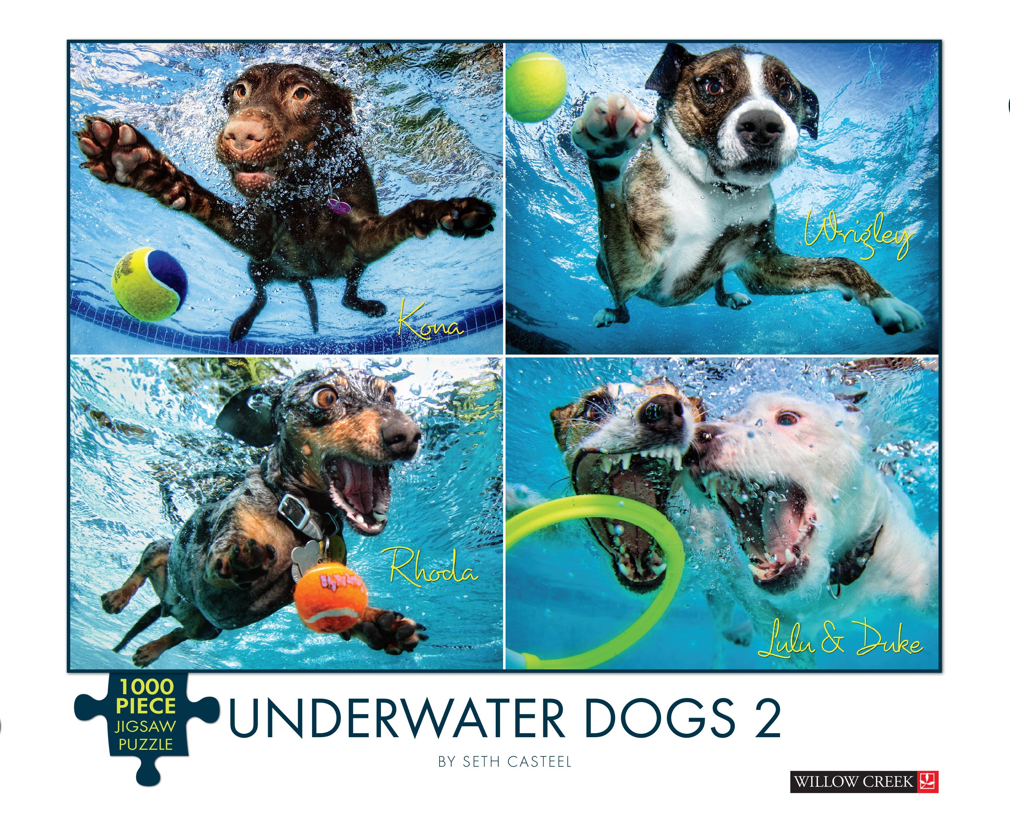 Willow Creek Press & Gifts - Wholesale Puzzle – Adult - Underwater Dogs 2 1000-piece Puzzle2