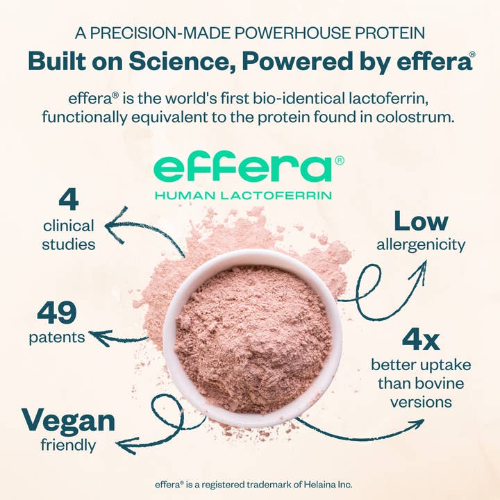 Levelle Nutrition - Wholesale Protein/Superfood Powder - Boom Chocolata Vegan Protein Set - 24ct Case– SPECIAL BUY5