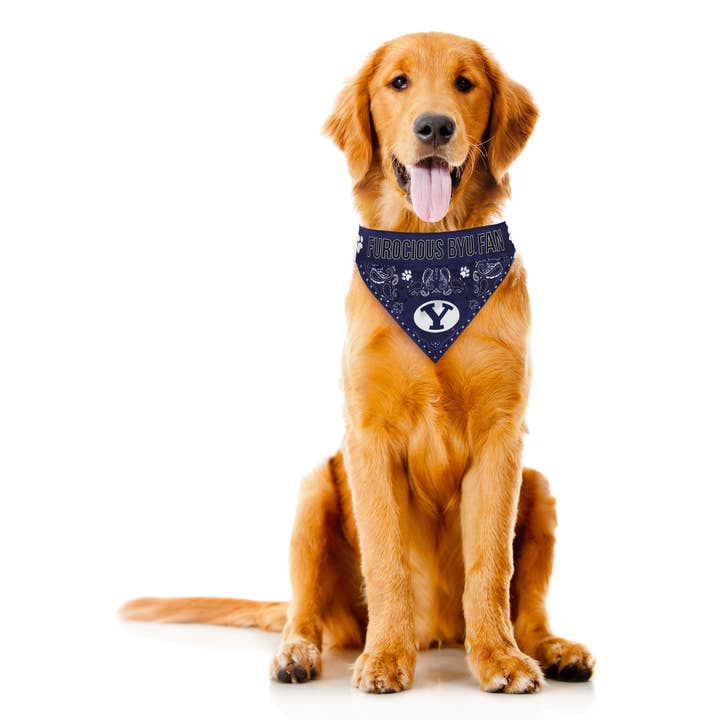 Little Earth Productions - Wholesale Pet Bandana - Dog - NCAA BYU Cougars Reversible Pet Bandana