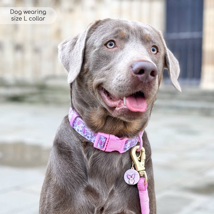 Pawsome Paws – Engroshandel Halsbånd - Hund – Disney© Halskæde - Smågris - Lyserød