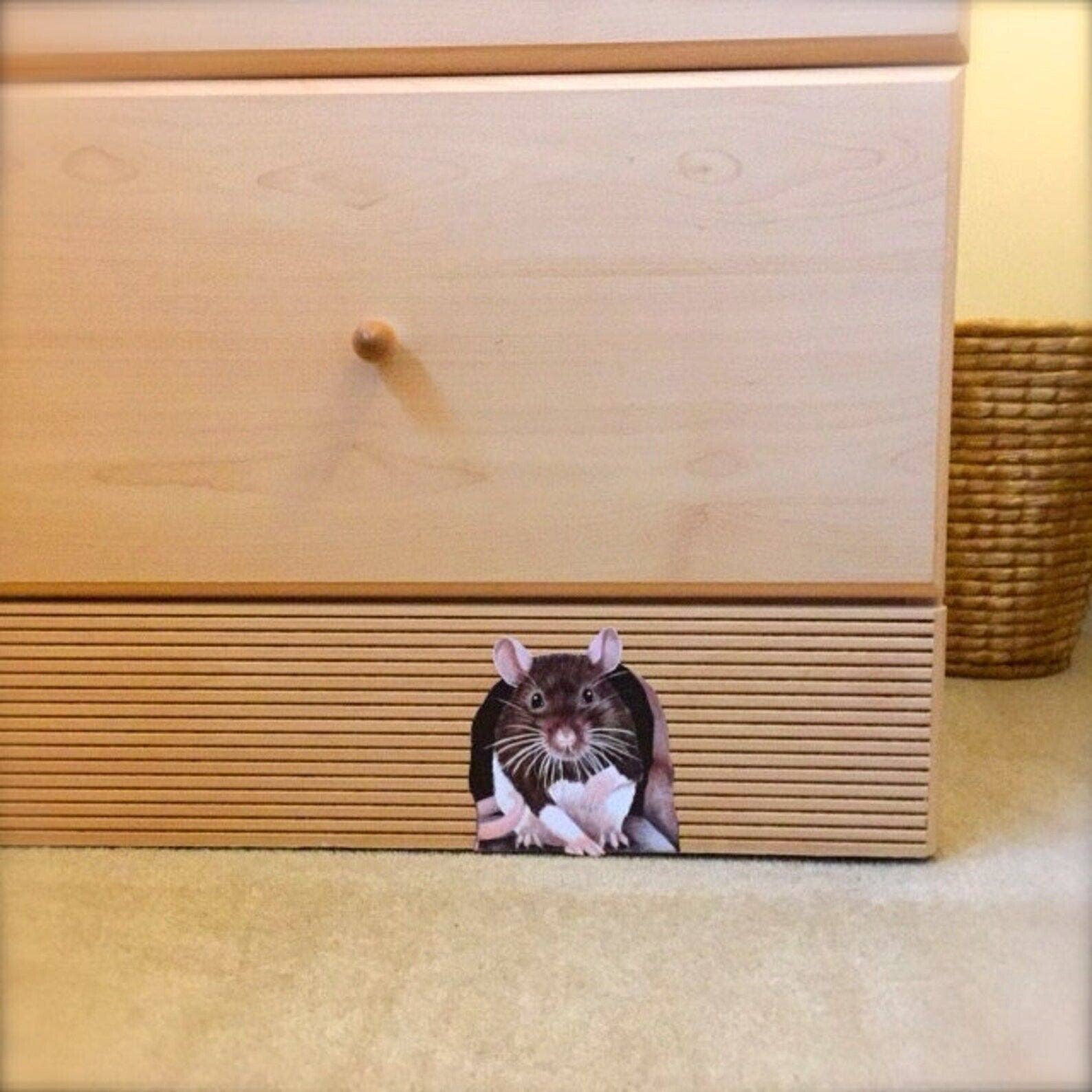 Wonderwallsboutique – wholesale Wall decal/stickers – Charming Rat Wall Sticker - Easy to Apply & Remove2