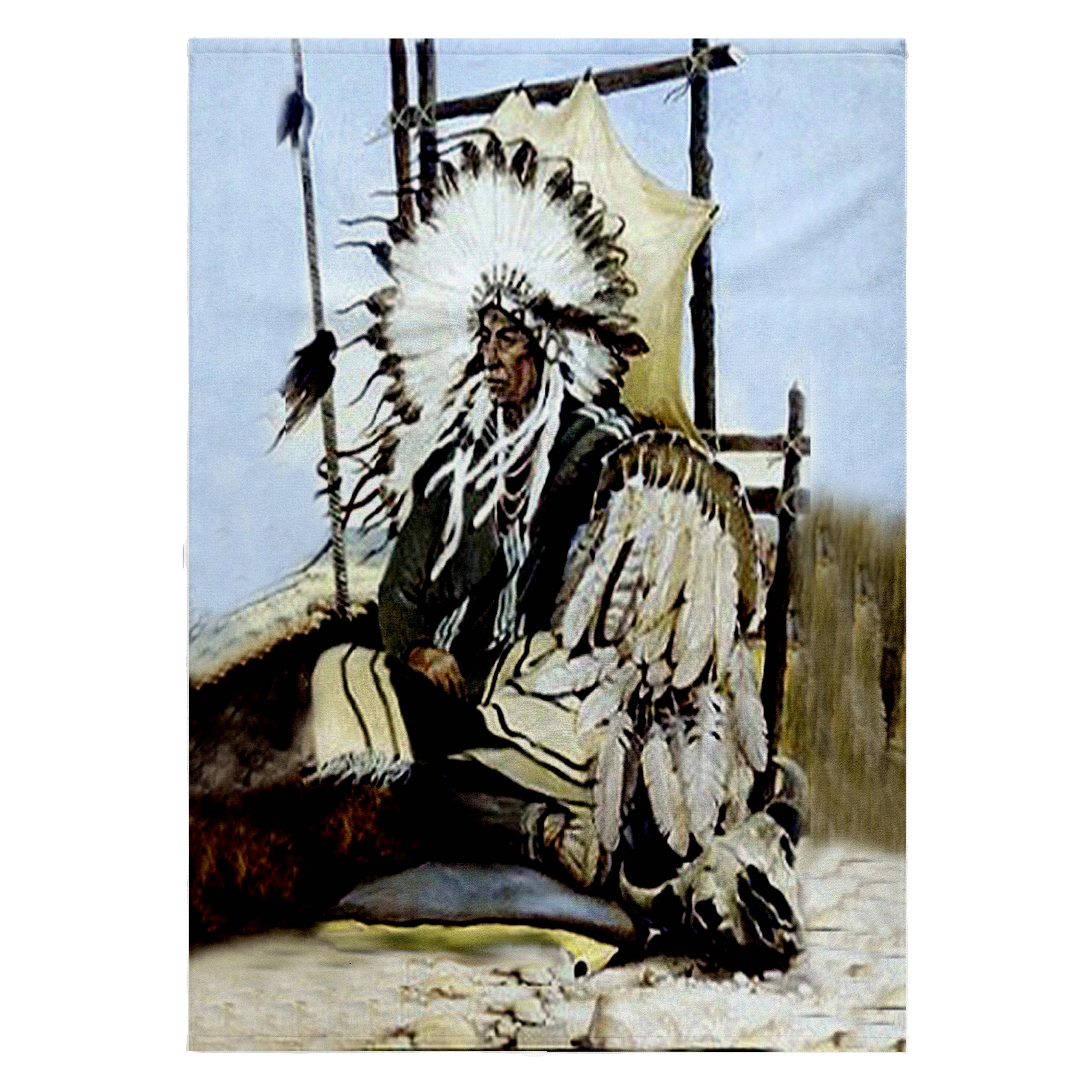 3dRose - Wholesale Bath Towel - 3dRose, Indian Chief, Towel0