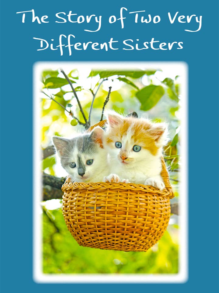 A HISTÓRIA DE DOIS PIX239 MUITO DIFERENTES por atacado de Blue Mountain Arts