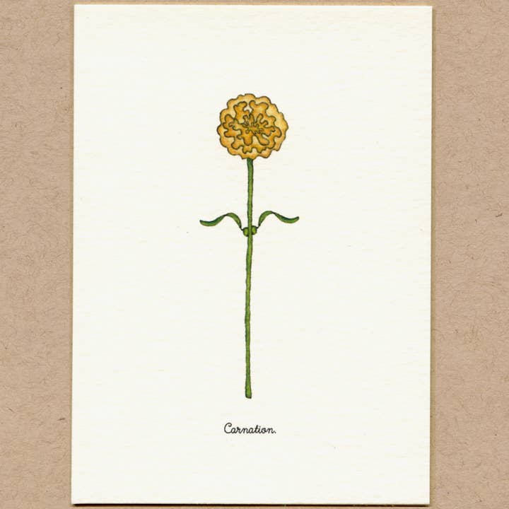 Beth Mueller - Wholesale Everyday Greeting Card - Flowers, Set 7 Boxed Greeting Cards5