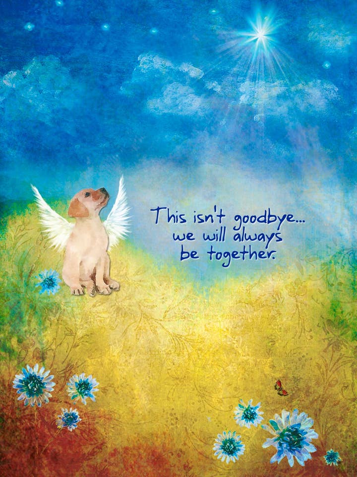 Wenskaart - Verlies van een Huisdier voor wholesale door Soulebrate