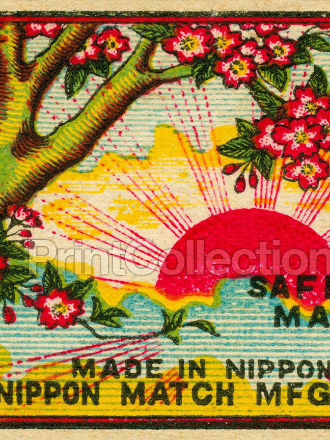 Coucher de soleil à travers les fleurs de cerisier, allumette pour la vente par Print Collection