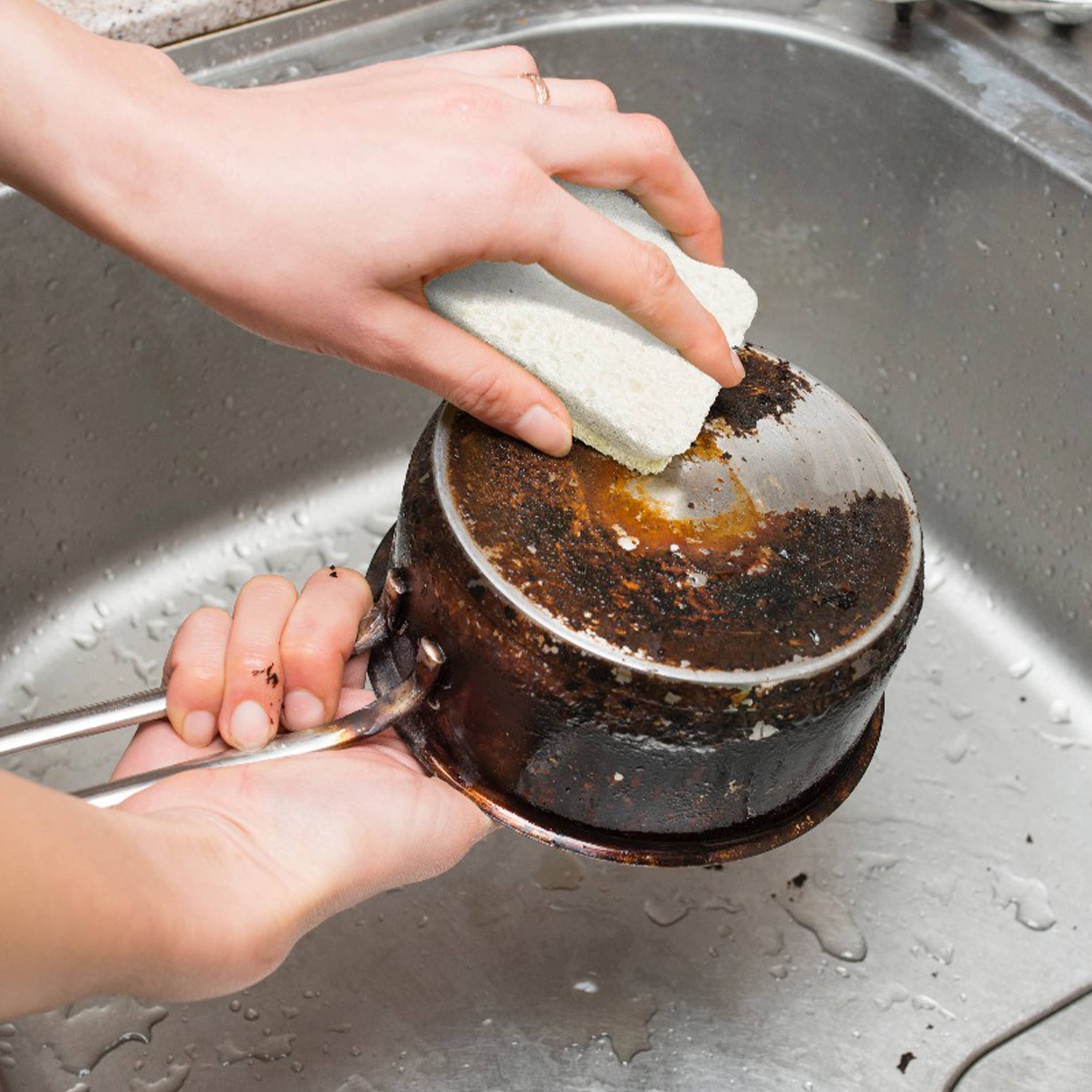 AIRNEX - Wholesale Cleaning Sponge - Kitchen Sponge with Zero Plastic - 1 Pack Loofah Sponges2