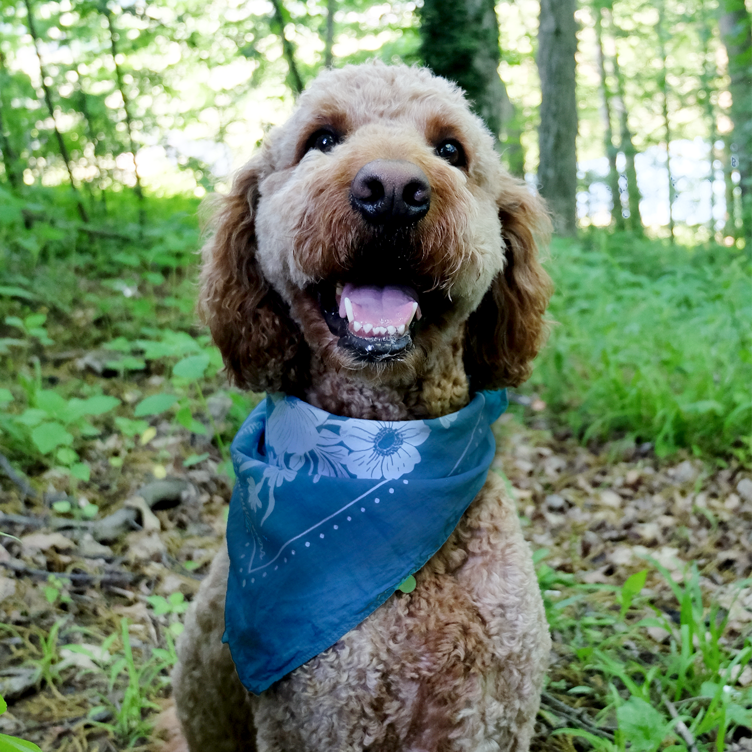 Jessi Evans - Wholesale Bandana - Women's - Happy Hiker Bandana3