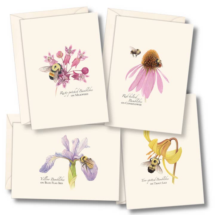 Bumblebee Assortment Notecard Set for wholesale by Earth Sky + Water