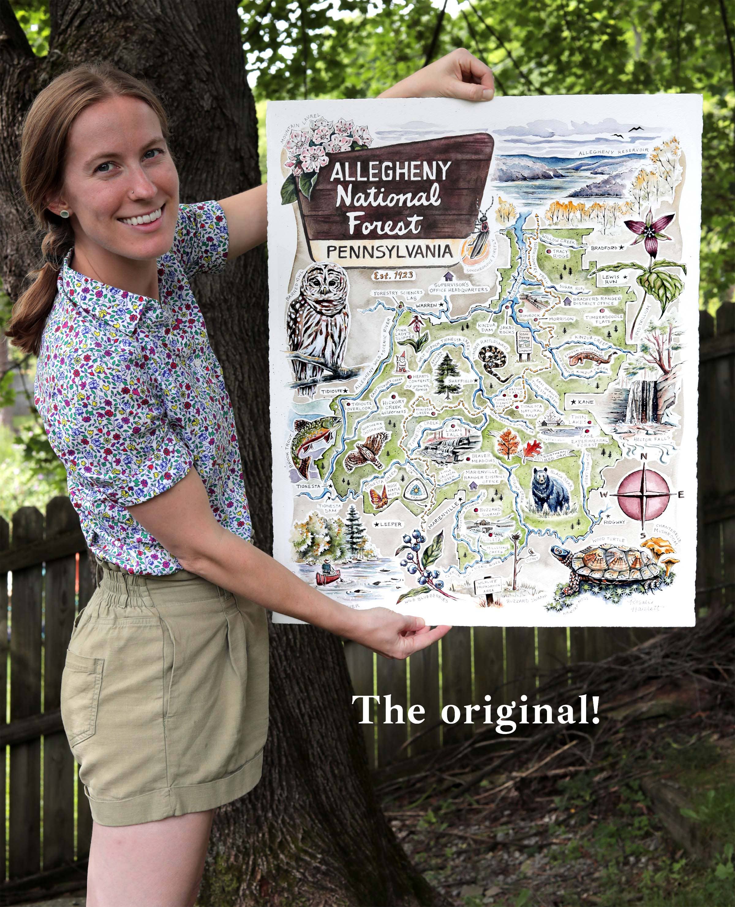 Rosalie Haizlett Illustration – wholesale Map – Allegheny National Forest Illustrated Map7
