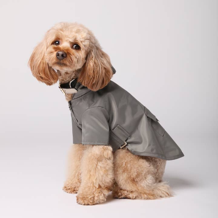 PEHOM – Capa de chuva para cão - Cão por atacado – CAPA DE CHUVA BOWERY - CINZA2
