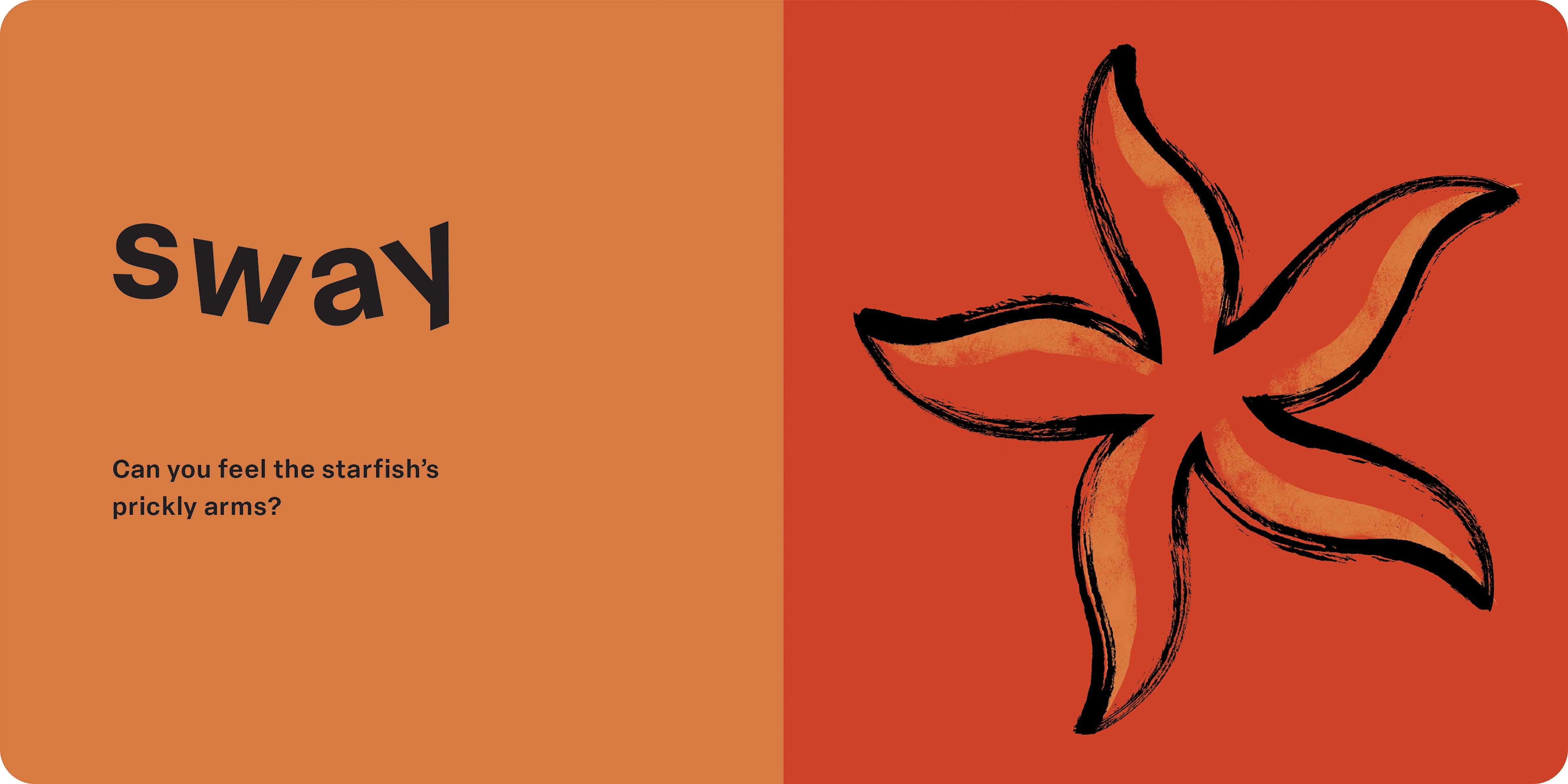 Hachette Book Group - Wholesale Baby & Toddler Book (0-2) - Spring Street Touch and Feel: Ocean by Boxer Books6