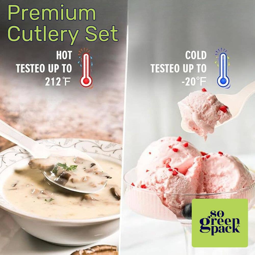 Sogreenpack - Wholesale Disposable Spoon - SoGreenPack  Eco-Friendly Bagasse Spoons 6.5-Inch 50 Pieces4