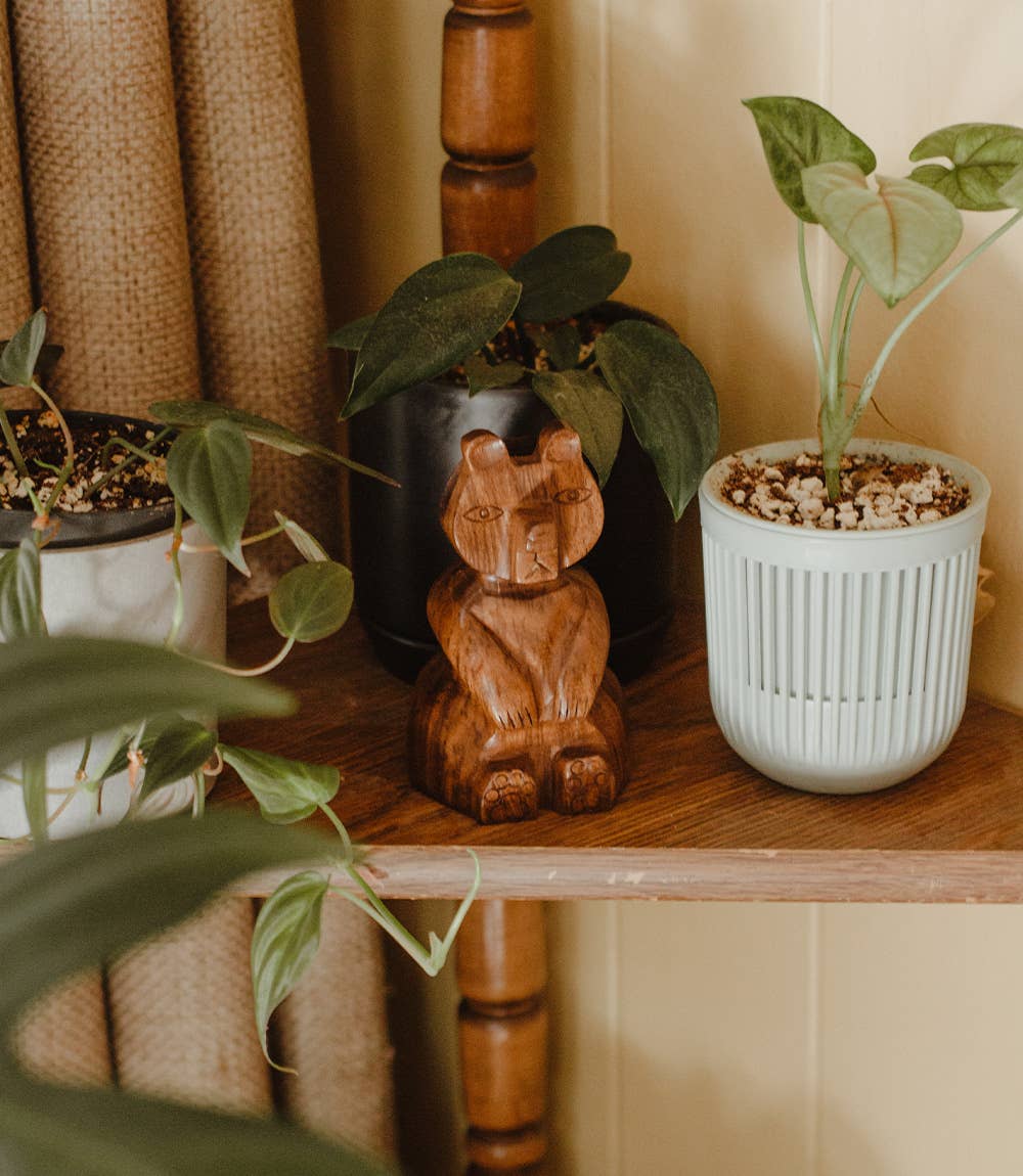 Matr Boomie Fair Trade - Venta al por mayor Funda/estuche para gafas - Unisex - Soporte para anteojos con forma de oso, madera de sheesham hecha a mano5