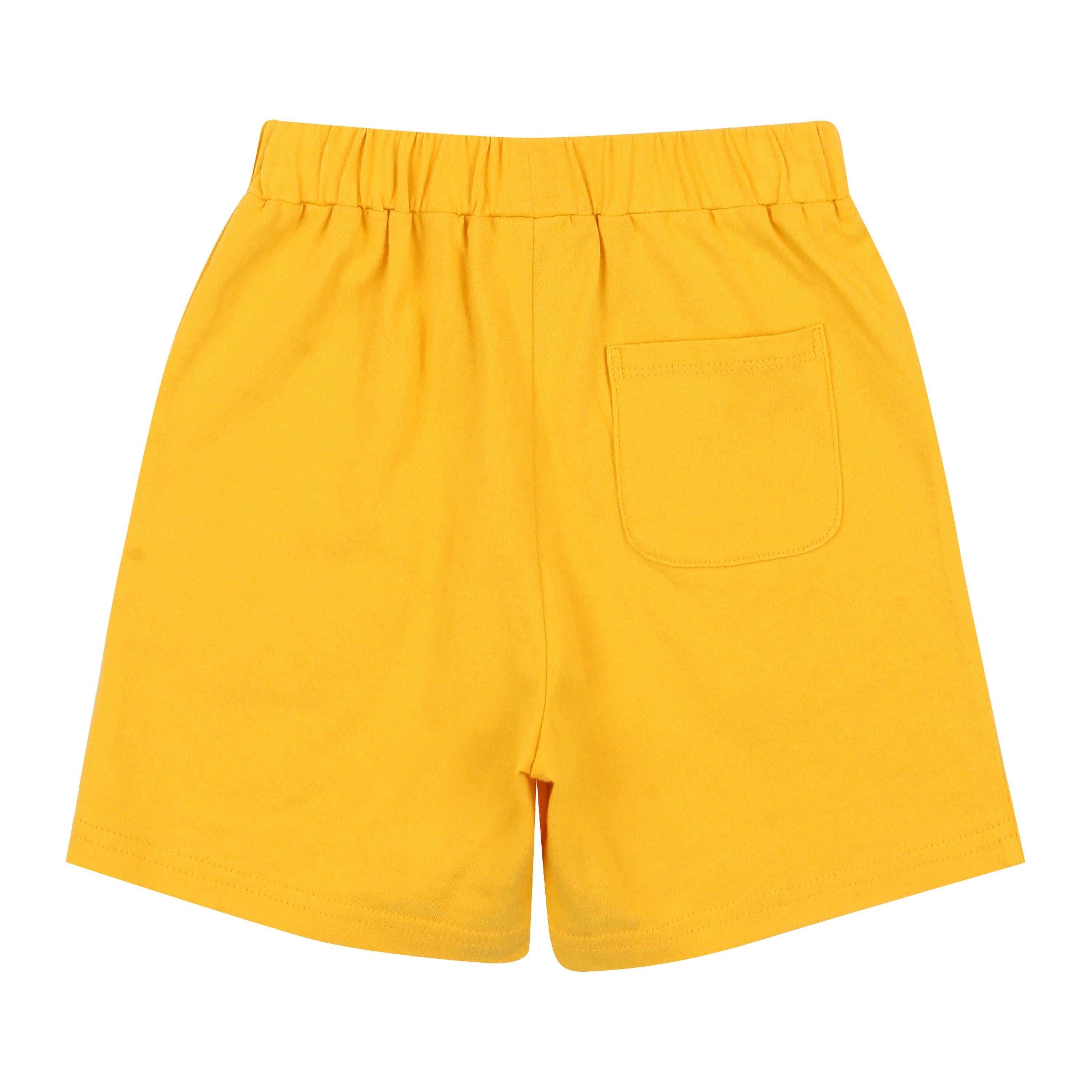 ToTo Heros - Wholesale Top & Short Set - Kids - Davin Striped T-Shirt & Solid Shorts Set14