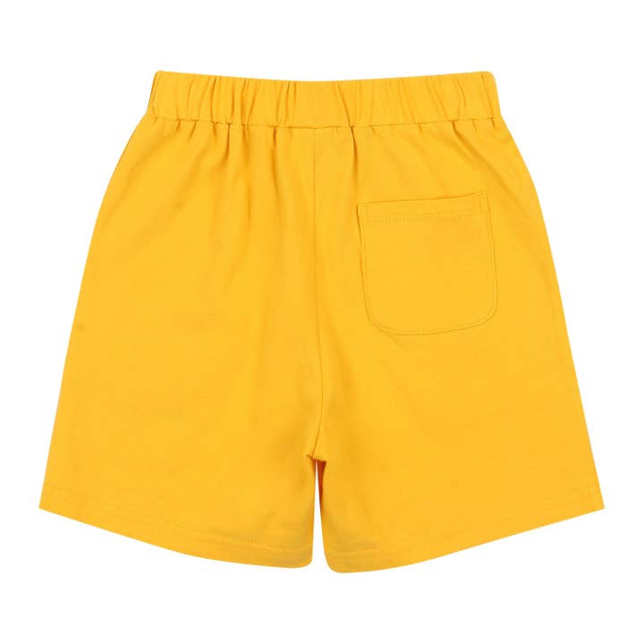 ToTo Heros - Wholesale Top & Short Set - Kids - Davin Striped T-Shirt & Solid Shorts Set14