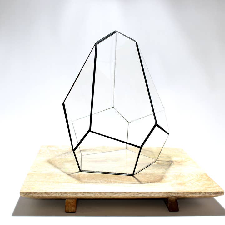 Terrario geometrico - Gemma della giungla - Vivario - ↑ 16 x 15 x 19,5 cm (LxPxA) - Vetro per la vendita all'ingrosso da parte di Trendhero.nl/b2b