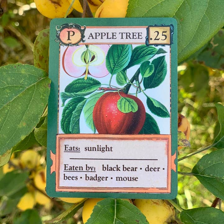 Montrose Biology - Wholesale Card Game - Ecologies Card Game9