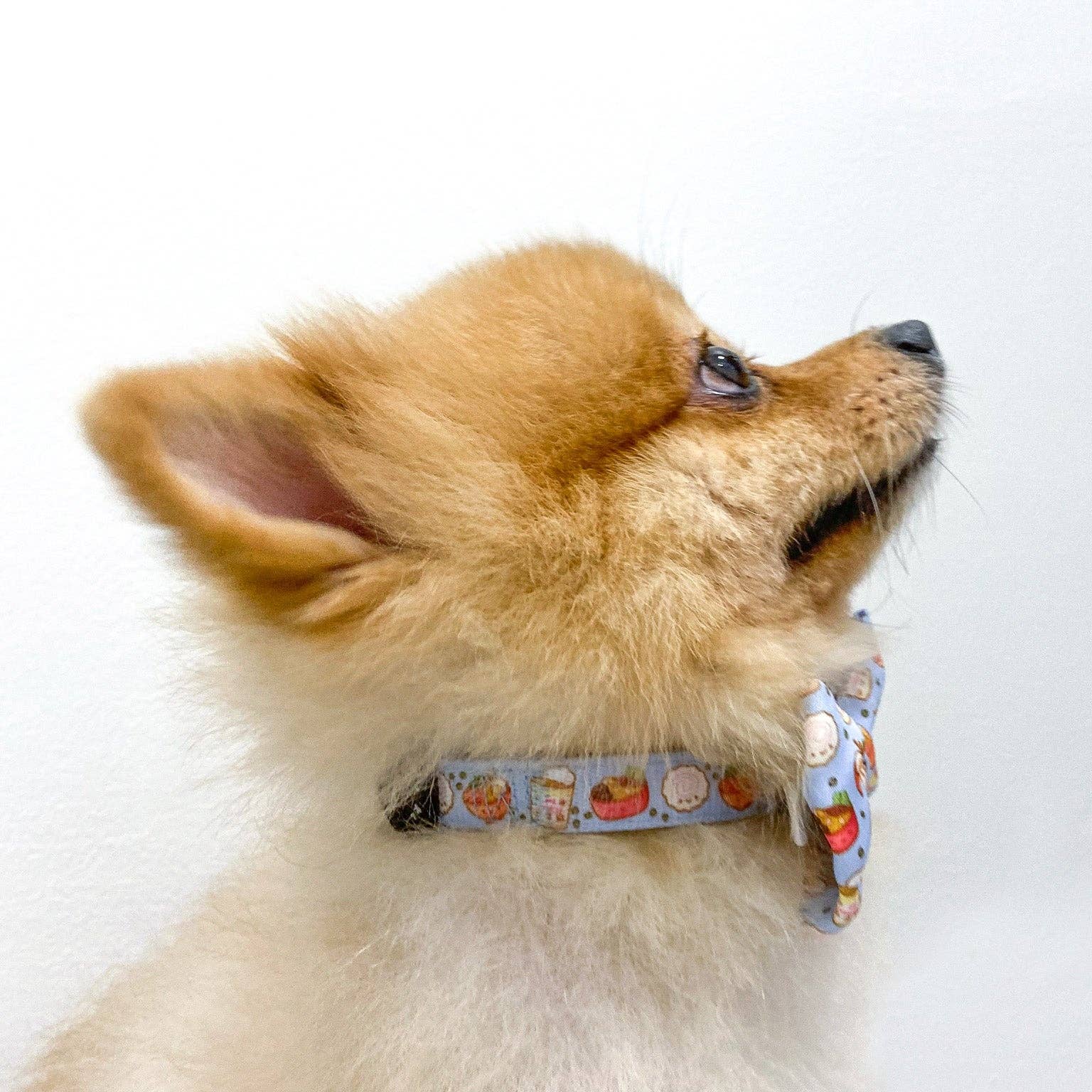 Korriko Pet Supply - Wholesale Pet Collar - Dog - Dog Collar - Ramen3