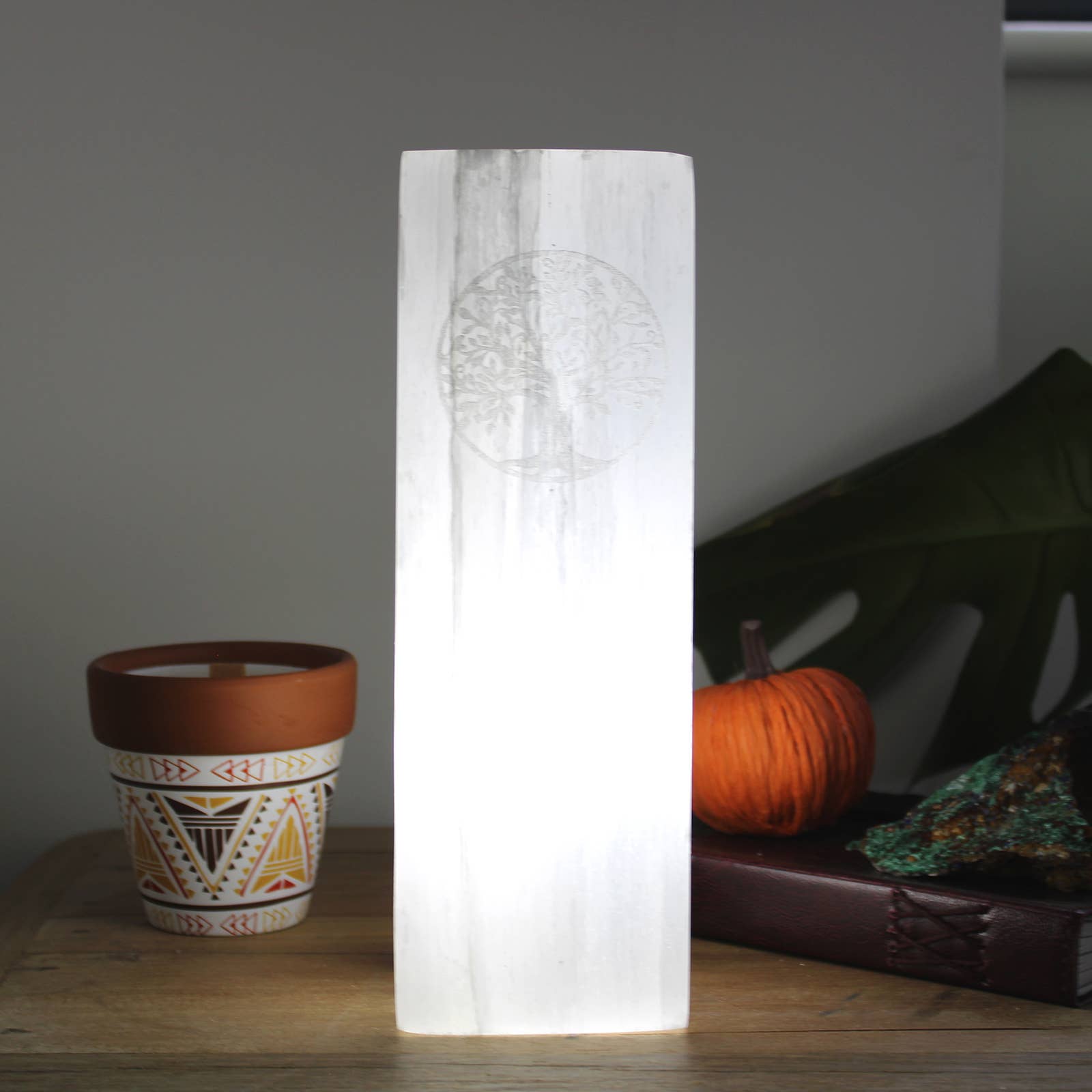 Ancient Wisdom – wholesale Accent/desk lamp – Selenite Block Lamp 25cm - Tree of Life - UK plug0
