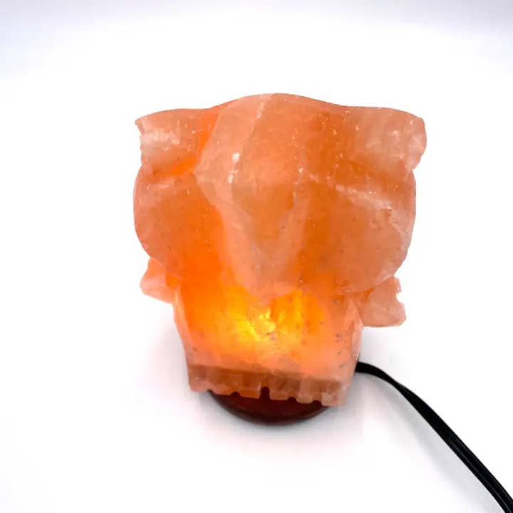Page Imports - Wholesale Salt Lamp - Salt Crystal Lamp - Owl1